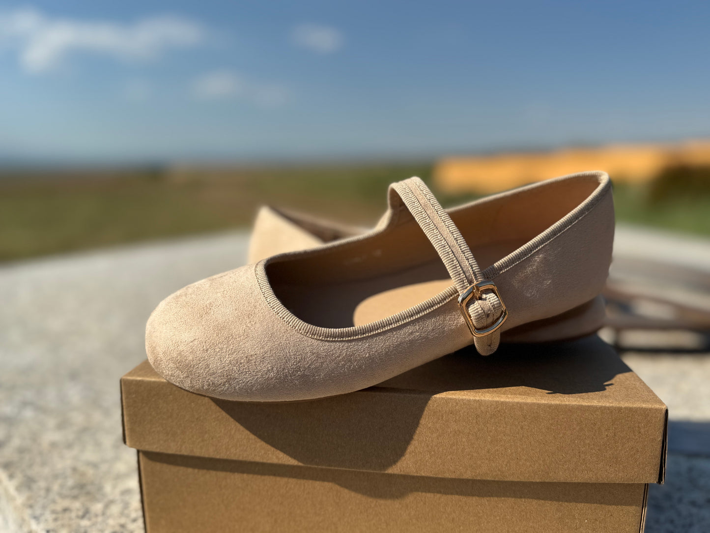 Zapato “Bella París”