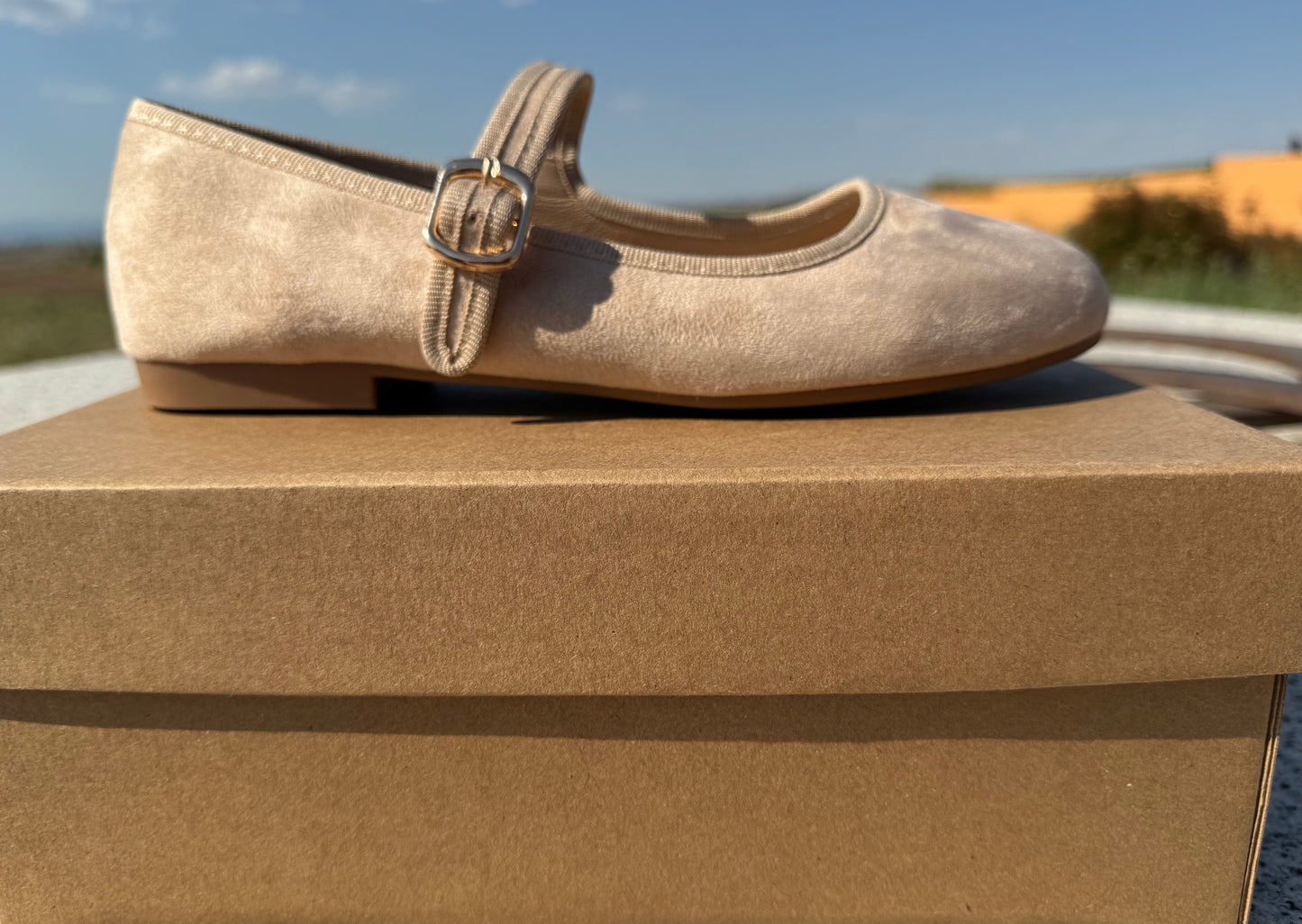 Zapato “Bella París”